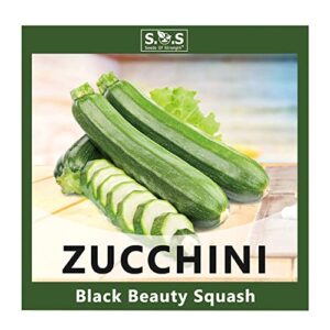 planting 1 individual packets – 3g zucchini seeds for your non gmo heirloom vegetable garden (zucchini)