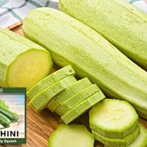 Planting 1 Individual Packets - 3g Zucchini Seeds for Your Non GMO Heirloom Vegetable Garden (Zucchini)