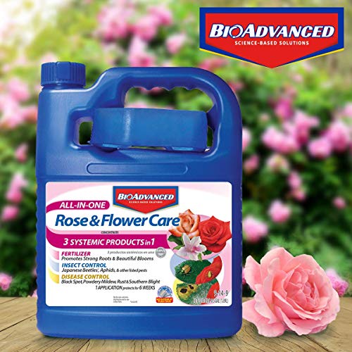 BioAdvanced All-In-One Rose and Flower Care, Concentrate, 64 oz