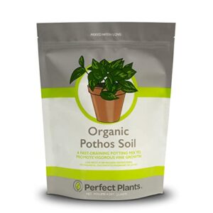 perfect plants organic pothos soil | horticultural potting mix for all indoor potted pothos | grow healthy houseplants indoors (4qts.)