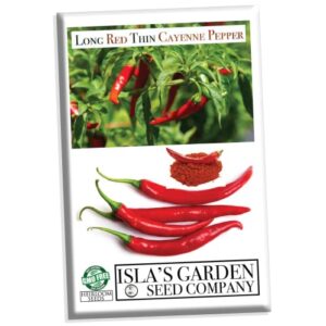 long red thin cayenne pepper seeds for planting, 100+ heirloom seeds per packet, (isla’s garden seeds), non gmo seeds, botanical name: capsicum annuum, great home garden gift