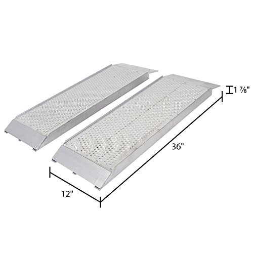 Guardian S-3612-1500-P Dual Runner Shed Ramps with Punch Plate Surface - 12" Wide, 3’ Long