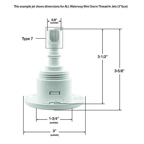 Waterway Plastics 806105443960 Scale Gray Jet Internal WW Mini Storm 3" fd Twin Roto