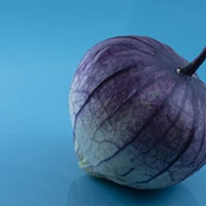 Purple Chinese Lantern Seeds for Planting - 50 Seeds - Exotic Garden Seeds - Ships from Iowa, USA