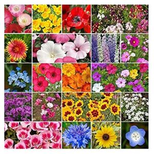 david’s garden seeds wildflower all annual seed mix fba-00091 (multi) 200 non-gmo, heirloom seeds