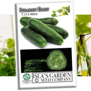 “straight eight” cucumber seeds for planting, 150+ heirloom seeds per packet, (isla’s garden seeds), non gmo seeds, botanical name: cucumis sativis, 90% germination rate