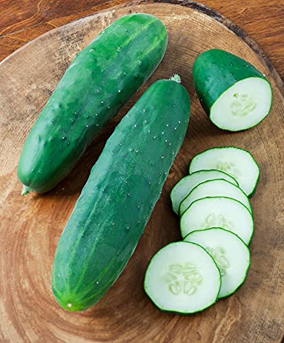 "Straight Eight" Cucumber Seeds for Planting, 150+ Heirloom Seeds Per Packet, (Isla's Garden Seeds), Non GMO Seeds, Botanical Name: Cucumis Sativis, 90% Germination Rate