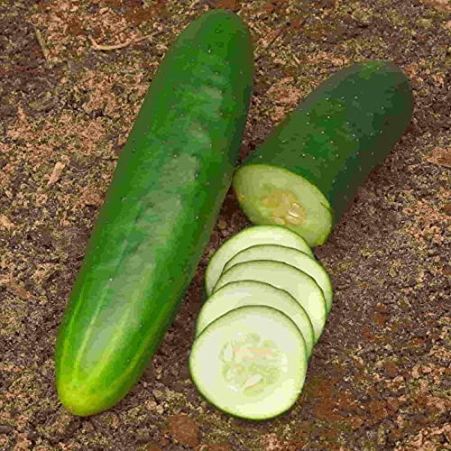 "Straight Eight" Cucumber Seeds for Planting, 150+ Heirloom Seeds Per Packet, (Isla's Garden Seeds), Non GMO Seeds, Botanical Name: Cucumis Sativis, 90% Germination Rate