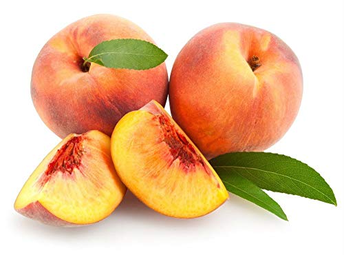 Nemaguard Peach Fruit Tree Seeds, 3 Seeds Per Packet, (Isla's Garden Seeds), Non GMO & Heirloom Seeds, Botanical Name: Prunus persica x P. davidiana