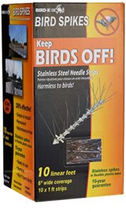 bird-x standard (sts-10-r) stainless steel spikes-10, 10 feet