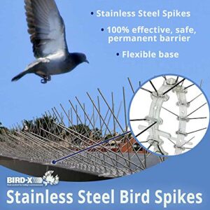 Bird-X Standard (STS-10-R) STAINLESS STEEL SPIKES-10, 10 feet