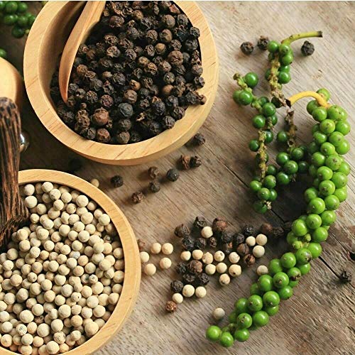 30+ Piper Nigrum Black Pepper Seeds Fragrant Herbs Spice Garden Plants Bonsai