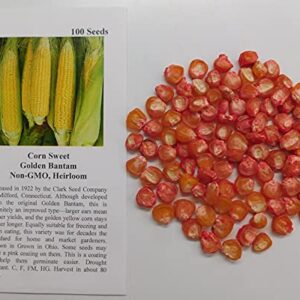 David's Garden Seeds Corn Sweet Golden Bantam FBA-6113 (Yellow) 100 Non-GMO, Heirloom Seeds