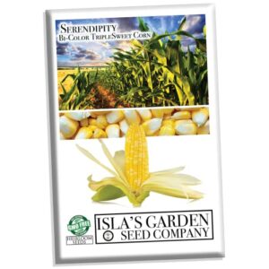 “serendipity” bi-color sweet corn seeds for planting, 75+ seeds per packet, (isla’s garden seeds), non gmo & heirlooom seeds, 90% germination rates, botanical name: zea mays, great home garden gift
