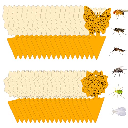 36 Pcs Gnat Sticky Traps for Plants, Fungus Gnat Sticky Trap Fruit Fly Traps for Indoors Orange House Plant Bug Sticky Gnat Killer Indoor, Flying Insect Traps Indoor and Outdoor Gnats Trap