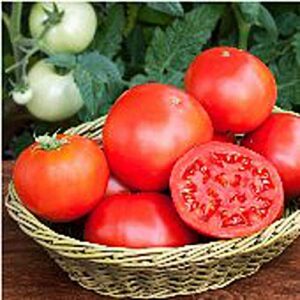 bush goliath tomato seeds (20+ seeds) | non gmo | vegetable fruit herb flower seeds for planting | home garden greenhouse pack