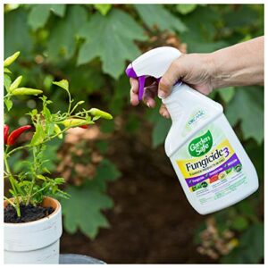 Garden Safe Brand Fungicide3 24 Ounces, 3 Garden Products In 1