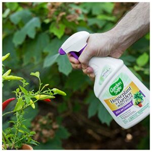 Garden Safe Houseplant and Garden Insect Killer, 24-Ounce Spray, Pack of 1