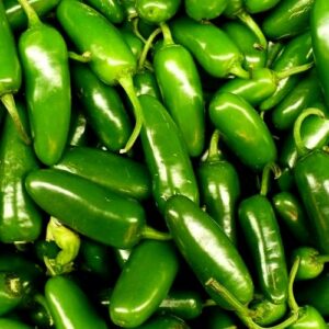 jalapeno chile pepper – 100 seeds – garden fresh pack!