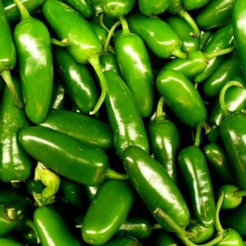 Jalapeno Chile Pepper - 100 Seeds - Garden Fresh Pack!