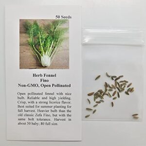 David's Garden Seeds Fennel Fino FBA-00058 (Green) 50 Non-GMO, Heirloom Seeds