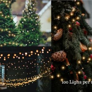 FAIRYTALE LIGHTING MAGIC TWINKLE, SOFT TWINKLE STRING LIGHTS 100 LED (WARM WHITE) 36 FT, Plug in, Connectable Waterproof Green Wire, Christmas Tree Decorations Indoor Outdoor Patio Yard Garden Wedding