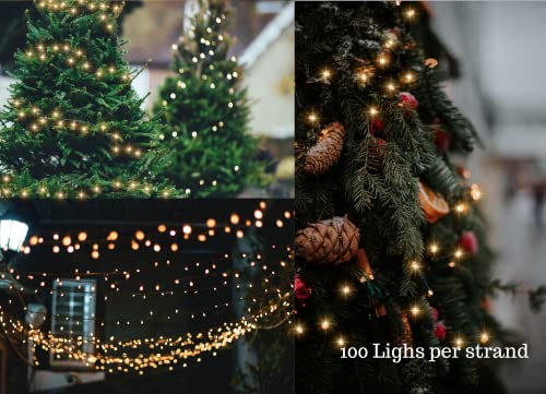 FAIRYTALE LIGHTING MAGIC TWINKLE, SOFT TWINKLE STRING LIGHTS 100 LED (WARM WHITE) 36 FT, Plug in, Connectable Waterproof Green Wire, Christmas Tree Decorations Indoor Outdoor Patio Yard Garden Wedding