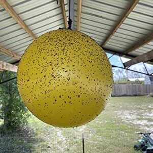 Gnat Ball Starter kit - Gnats, House Fly, No-See-Um, Aphids whiteflies,and Love Bug Trap