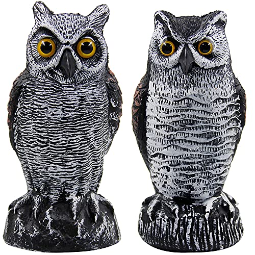 Hausse 2 Pack Fake Horned Owl | 16.5ft Bird Spikes