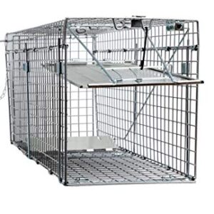 Animal Trap (32"x10"x12") - Best Humane Animal Trap for Gophers, Racoons, Possums, Groundhogs, Beavers and Other Similar Sized Animals. Easy Trap Catch & Release cage with 1-Door by LifeSupplyUSA