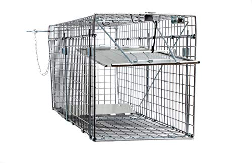 Animal Trap (32"x10"x12") - Best Humane Animal Trap for Gophers, Racoons, Possums, Groundhogs, Beavers and Other Similar Sized Animals. Easy Trap Catch & Release cage with 1-Door by LifeSupplyUSA