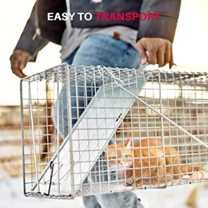 Animal Trap (32"x10"x12") - Best Humane Animal Trap for Gophers, Racoons, Possums, Groundhogs, Beavers and Other Similar Sized Animals. Easy Trap Catch & Release cage with 1-Door by LifeSupplyUSA