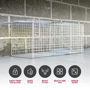 Animal Trap (32"x10"x12") - Best Humane Animal Trap for Gophers, Racoons, Possums, Groundhogs, Beavers and Other Similar Sized Animals. Easy Trap Catch & Release cage with 1-Door by LifeSupplyUSA