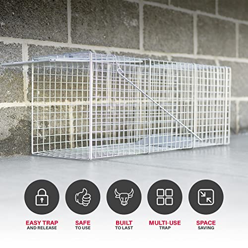 Animal Trap (32"x10"x12") - Best Humane Animal Trap for Gophers, Racoons, Possums, Groundhogs, Beavers and Other Similar Sized Animals. Easy Trap Catch & Release cage with 1-Door by LifeSupplyUSA