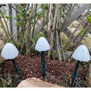 Kagoohan 24 feet 12 LED Outdoor Solar String Mini Mushroom Lights  8 Modes Garden Patio Yard Landscape Party Lawn Pathway Wedding Home Christmas Holidays (Multi-Colored)