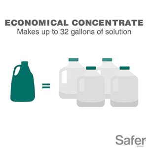 Safer Brand 5192-6, 16 oz Horticultural & Dormant Spray Oil Concentrate, 1 Pack, Green