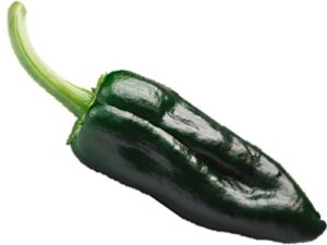 ancho poblano pepper seed – b60 (65 seeds, or 1/2 gram)