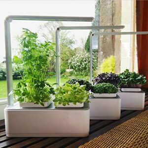 CheerGrow Hydroponics Growing System Smart Indoor Mini Garden Herb Kitchen Garden Kit with Built in LED Grow Light for Herbs/Vegetables/Flowers