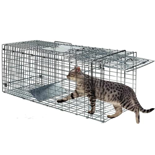 Live Animal Trap Cage Humane Cat Trap Rabbit Trap Humane Mouse Trap Live Traps for Raccoons Small Animal Trap Squirrel Traps Outdoor Groundhog Trap, 24'' Steel Humane Release Rodent Cage