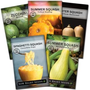 Sow Right Seeds - Squash Seed Collection for Planting - Individual Packets Straightneck Summer, Yellow Scallop, Round Zucchini, Waltham Butternut and Spaghetti Squash, Non-GMO Heirloom Seeds