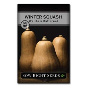 Sow Right Seeds - Squash Seed Collection for Planting - Individual Packets Straightneck Summer, Yellow Scallop, Round Zucchini, Waltham Butternut and Spaghetti Squash, Non-GMO Heirloom Seeds