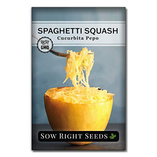 Sow Right Seeds - Squash Seed Collection for Planting - Individual Packets Straightneck Summer, Yellow Scallop, Round Zucchini, Waltham Butternut and Spaghetti Squash, Non-GMO Heirloom Seeds