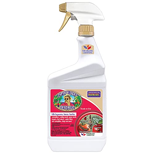 Bonide BND250 Captain Jack's Dead Bug Brew Ready to Use Insecticide/Pesticide, 32 oz & (BND806) - Caterpillar and Worm Killer, Bacillus Thuringiensis (Bt) (32 oz.)