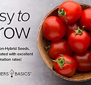 Large Cherry Tomato Seeds for Planting Heirloom Non-GMO Red Cherry Tomato Plant Seeds for Home Garden Vegetables Makes a Great Gift for Gardening by Gardeners Basics