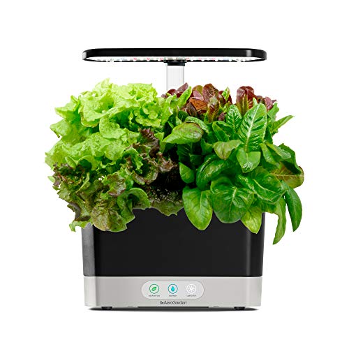 AeroGarden Harvest Elite - Stainless Steel & Heirloom Salad Greens Seed Pod Kit, 6