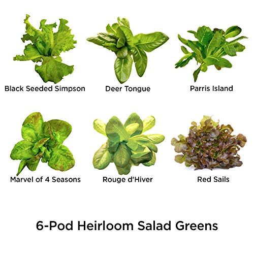 AeroGarden Harvest Elite - Stainless Steel & Heirloom Salad Greens Seed Pod Kit, 6