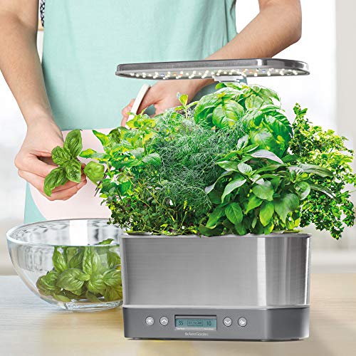 AeroGarden Harvest Elite - Stainless Steel & Heirloom Salad Greens Seed Pod Kit, 6