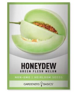 honeydew seeds for planting – green flesh melon heirloom, non-gmo fruit seed variety- 2 grams seeds great for summer honey dew melon gardens by gardeners basics