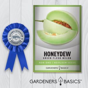 Honeydew Seeds for Planting - Green Flesh Melon Heirloom, Non-GMO Fruit Seed Variety- 2 Grams Seeds Great for Summer Honey Dew Melon Gardens by Gardeners Basics