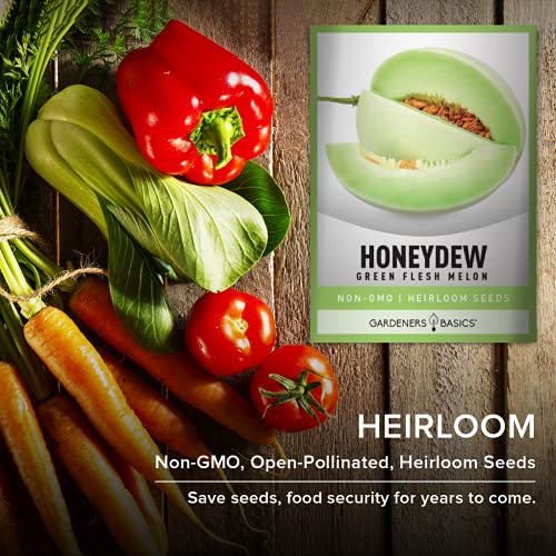 Honeydew Seeds for Planting - Green Flesh Melon Heirloom, Non-GMO Fruit Seed Variety- 2 Grams Seeds Great for Summer Honey Dew Melon Gardens by Gardeners Basics